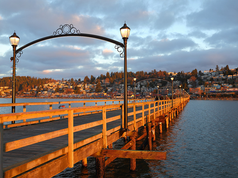 Homes for Sale: White Rock, BC