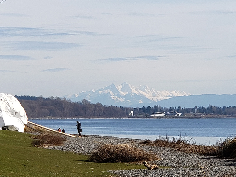 Homes for Sale: White Rock, BC