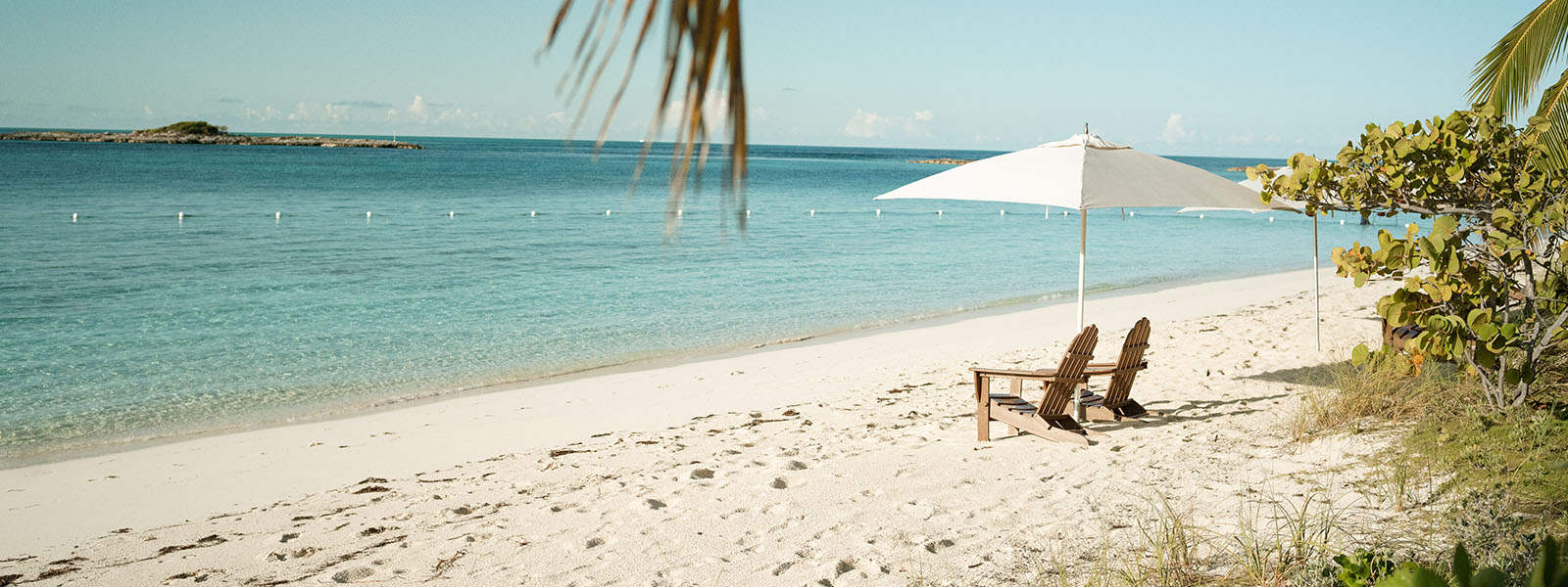 abacos