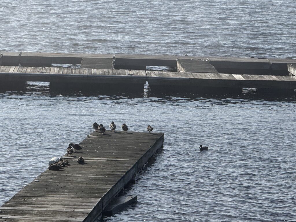 Park Marine Base Marina in Northville NY | Full-Service Great Sacandaga Lake Marina