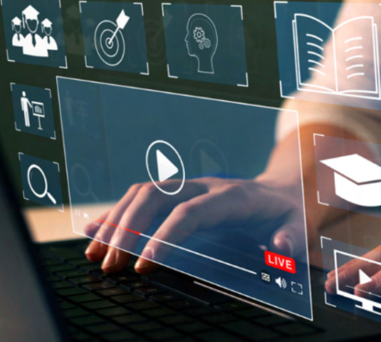 Partner with our Team