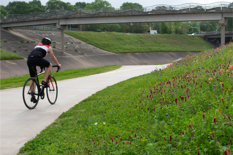 Biking Through a Field of Flowers