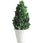 upward-boxwood-topiary