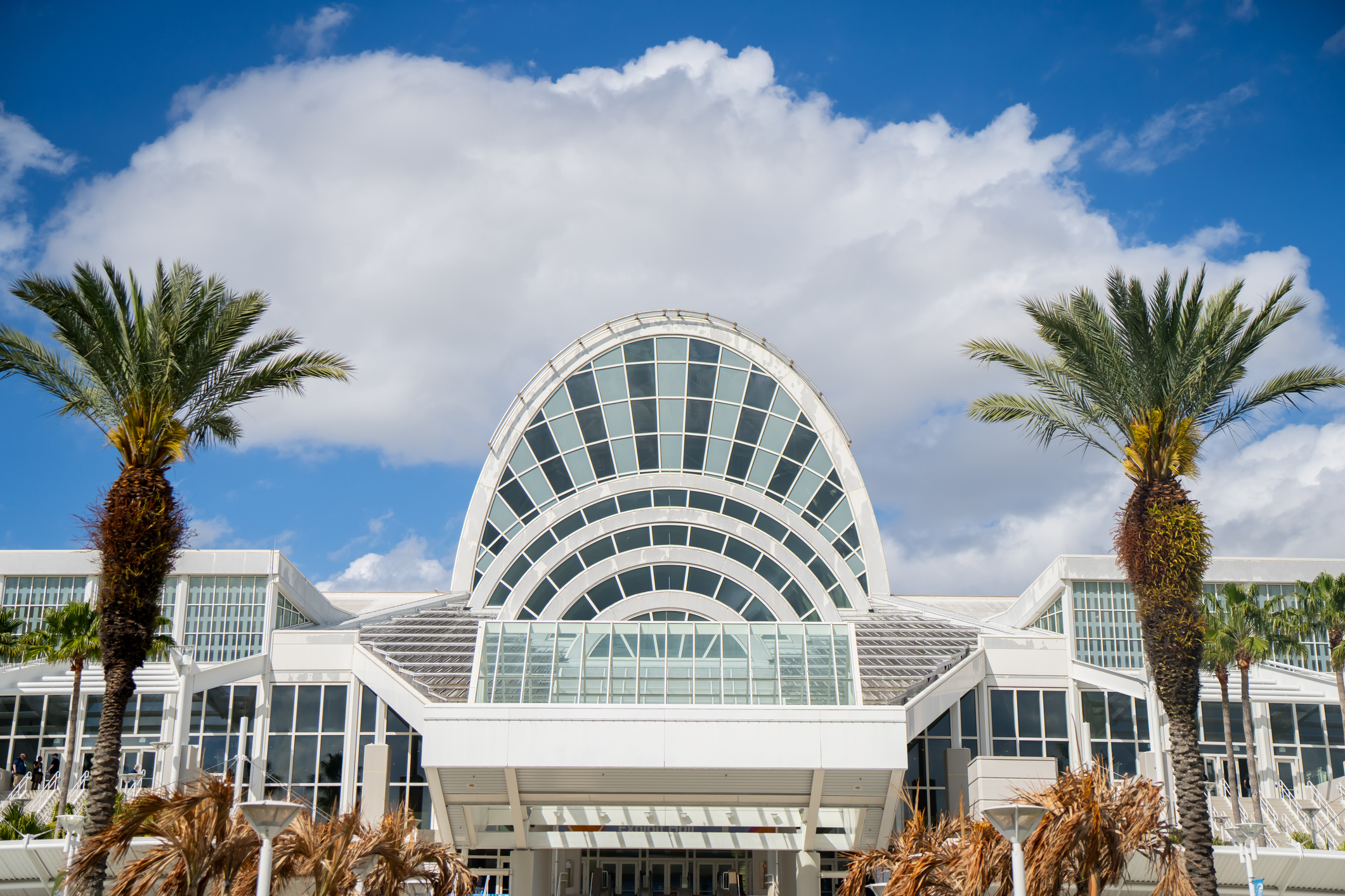Orlando