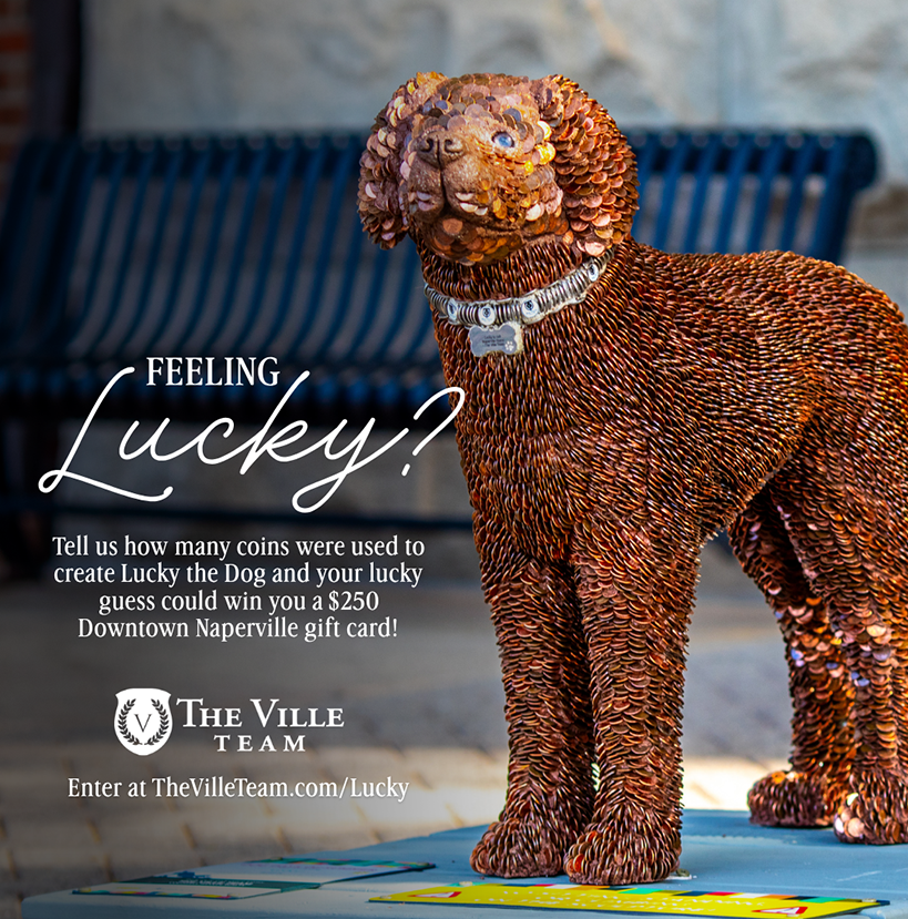 lucky dog contest – the ville team