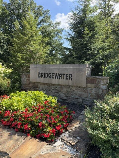 community_bilgewater