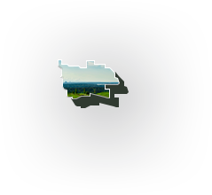 Newcastle Hover