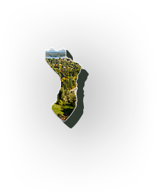 Mercer <br>Island Hover