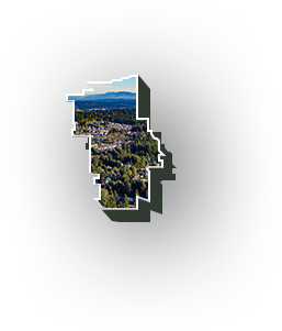 Bothell Hover