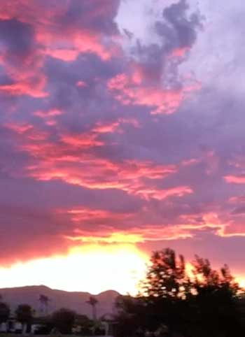 Fall Weather In The Desert Brings Lower Temps & Winter Flowers 2