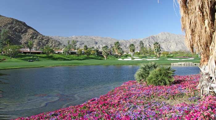 Fall Weather In The Desert Brings Lower Temps & Winter Flowers 1