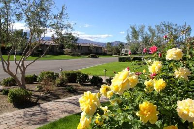 Palm Springs Area Photo Of The Day