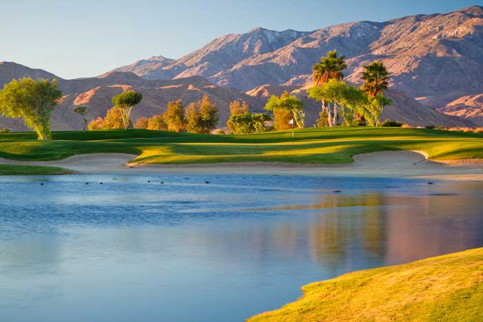 Escena, Palm Springs