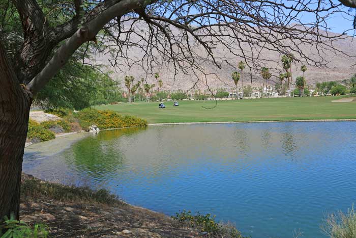 Indian Canyons, Palm Springs