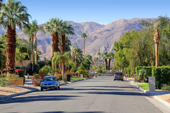 Much More Than Palm Springs Real Estate 1