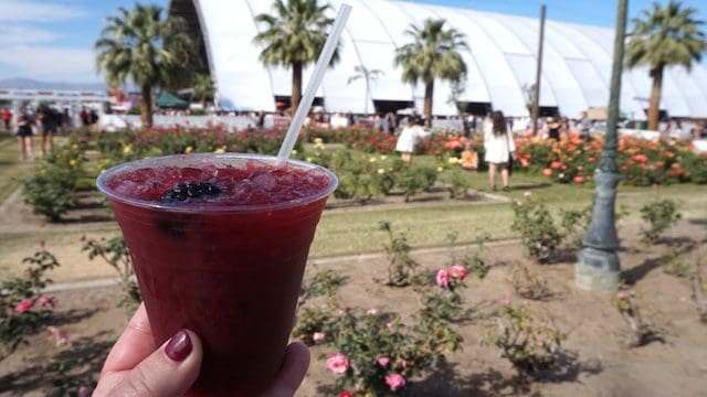 Coachella Chow 2017 12