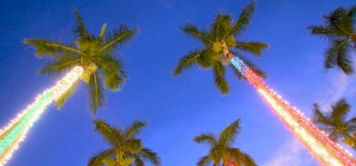 Happy Holidays From The Desert 1