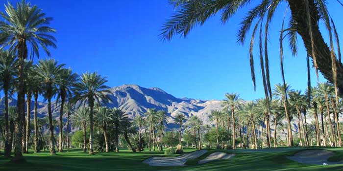 Palms Golf Club Custom Lot Reduced to $155,000! 1
