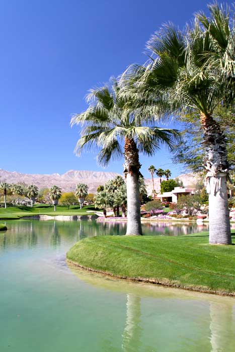 It’s All About The Lifestyle Here In Palm Springs 1