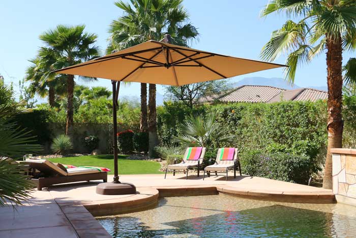 Cards & Letters From Palm Springs Area Buyers and Sellers 1