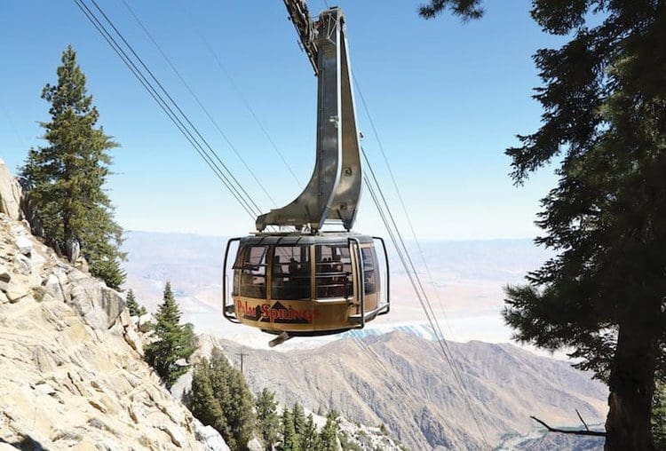 What to Do at the Top of the Palm Springs Tram 1