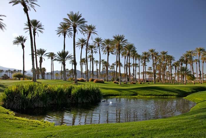 The Palms Golf Club