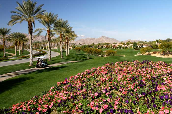 Mountain View Country Club