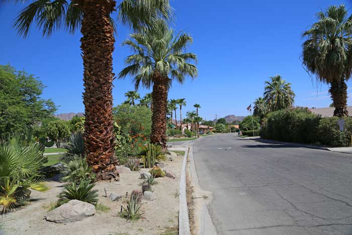 Desert Club Estates