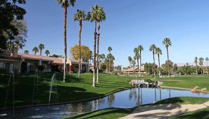 Palm Country