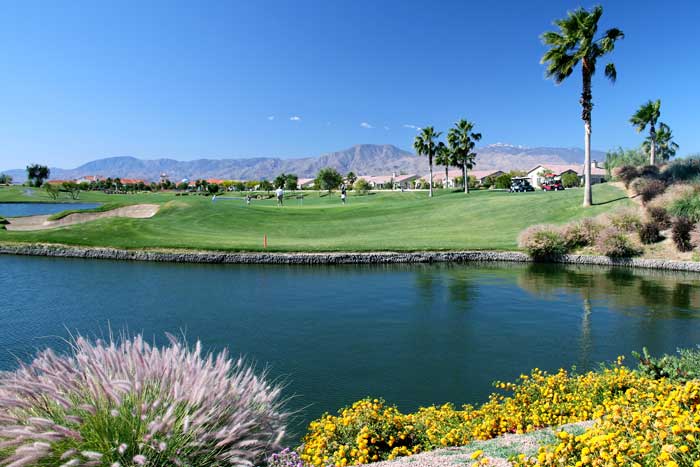 Sun City Shadow Hills