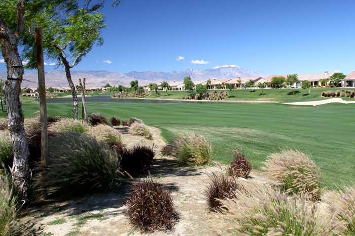 Sun City Shadow Hills