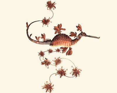 Dining Around the Desert: Wildest in Palm Desert 2