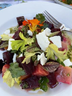 Dining Around the Desert: Flora Farms in San Jose del Cabo, Mexico