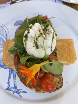 Dining Around the Desert: Flora Farms in San Jose del Cabo, Mexico