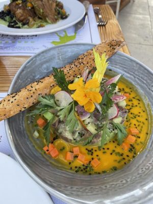 Dining Around the Desert: Flora Farms in San Jose del Cabo, Mexico