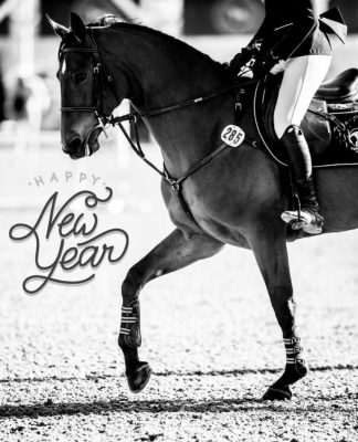 Desert Circuit Equestrian Events 1
