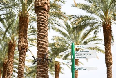 SUNDAY MARCH 5th: Around the grounds at the Indian Wells Tennis Garden on Sunday, March 5th, 2023 in Indian Wells. (Kathryn Riley/BNP Paribas Open)