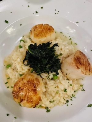 The Desert with an Ocean