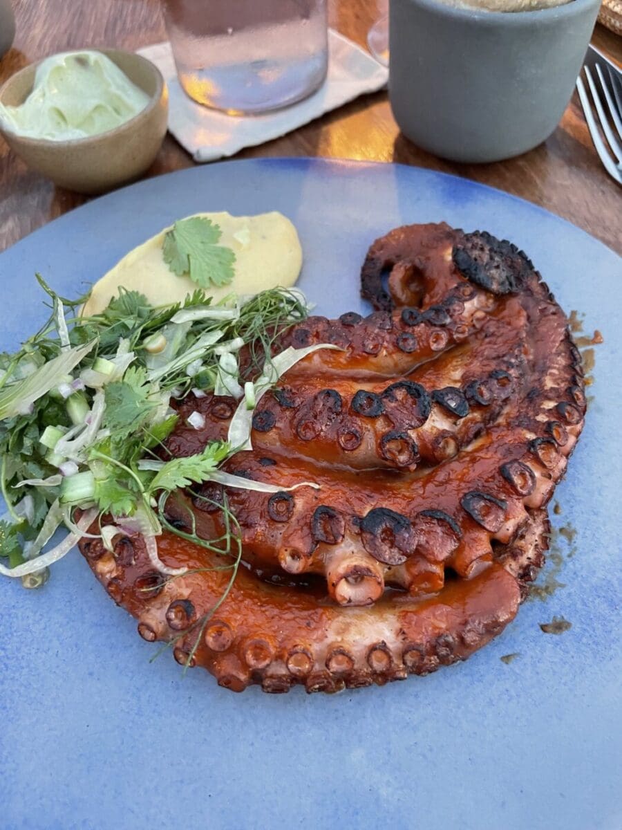 The Desert with an Ocean