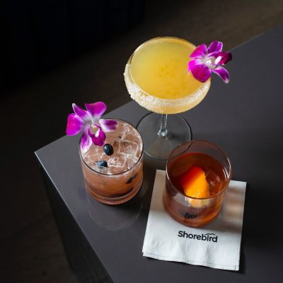 Shorebird Palm Desert