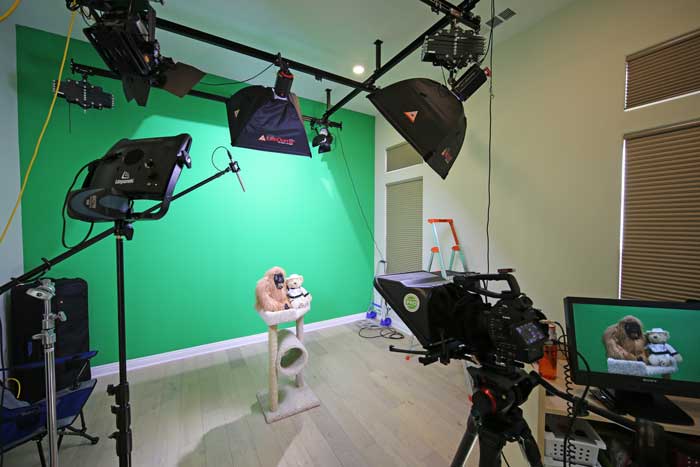 Sheri Dettman & Associates Video Studio Lighting Test Shots