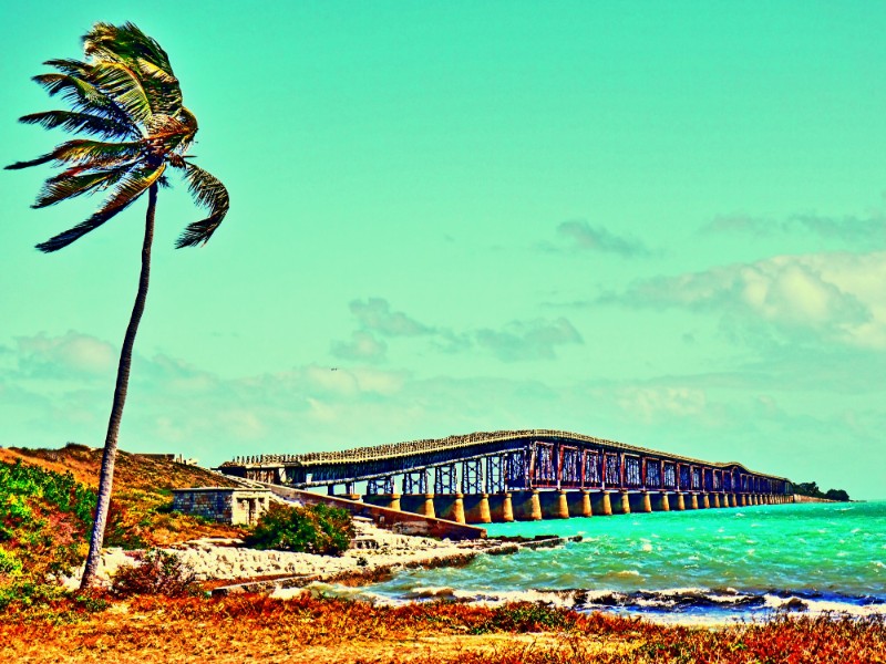 View to disused bridge in the Florida Keys, in the foreground a palm tree.