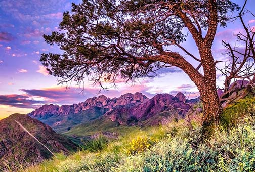 Las Cruces/Ruidoso