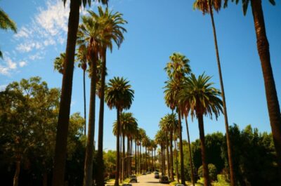 Gambino Ranked #9 on LABJ's "The List: Residential Real Estate"