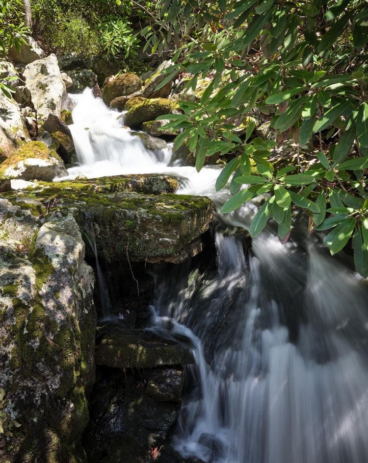 614 Graystones Jeras Road Featured Photo