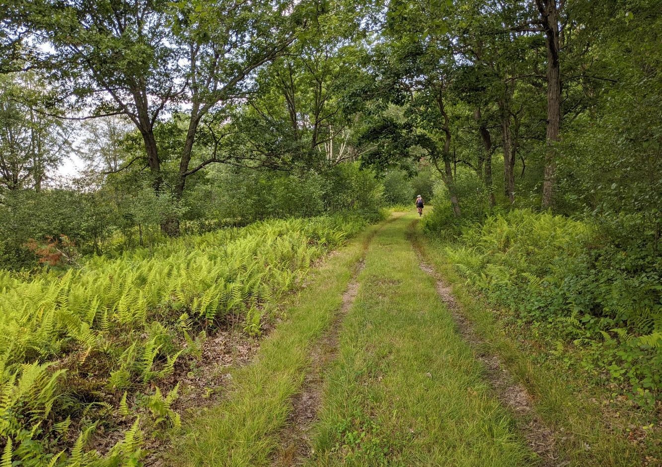 614 Graystones Jeras Road Featured Photo