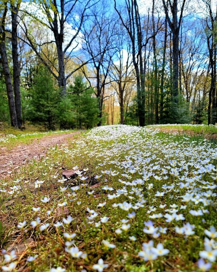 614 Graystones Jeras Road Featured Photo