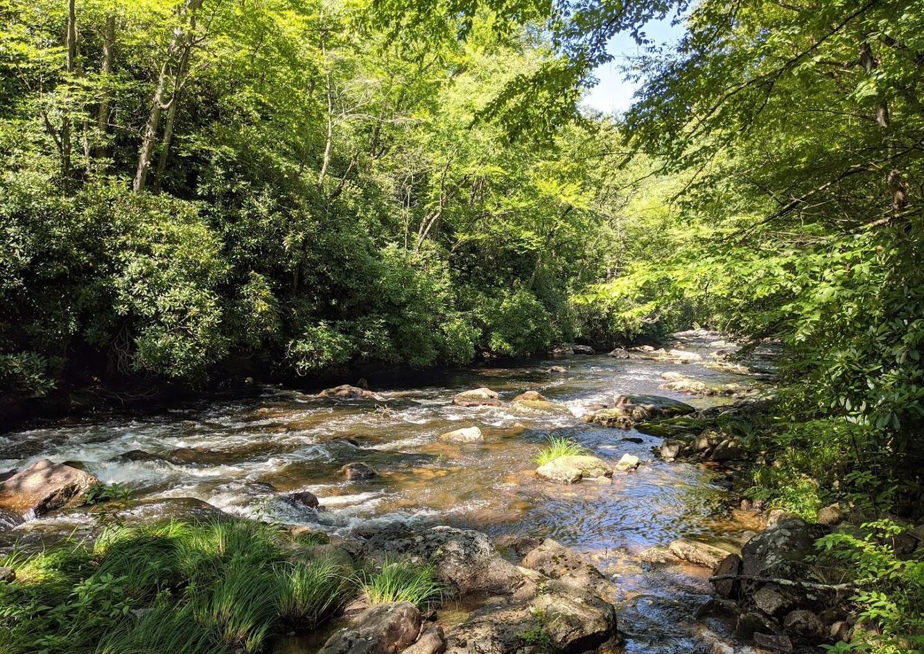 614 Graystones Jeras Road Featured Photo