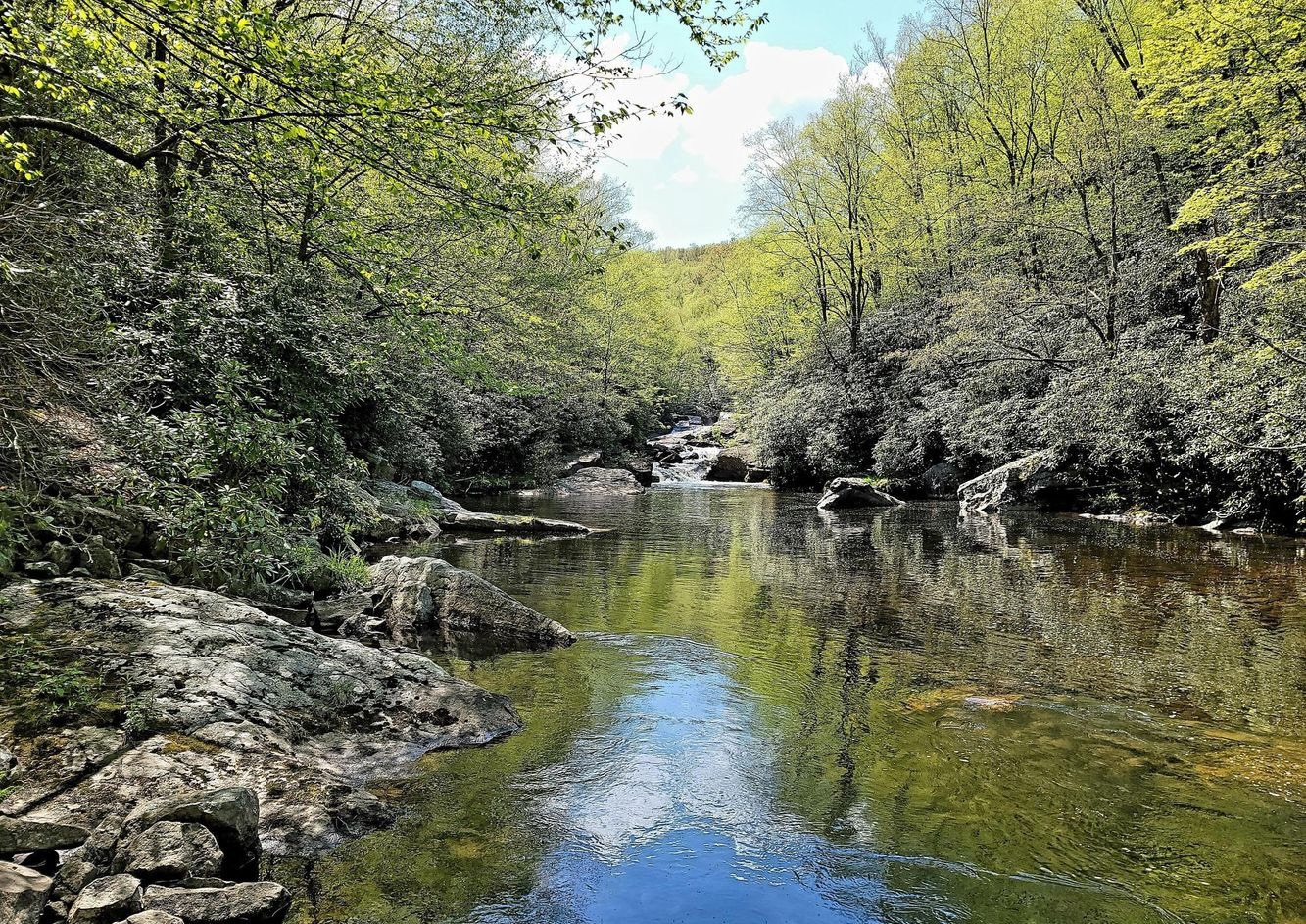 614 Graystones Jeras Road Featured Photo