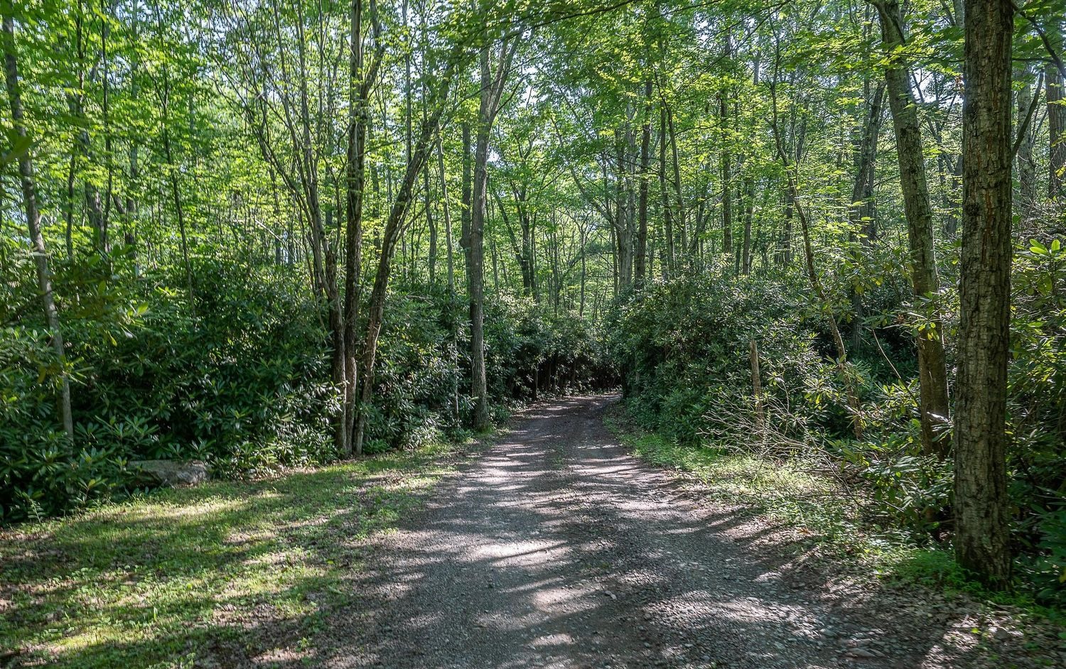 614 Graystones Jeras Road Featured Photo